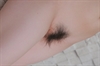 Thumnail / 2 / 18 / 00